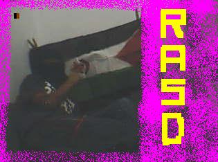 rasd